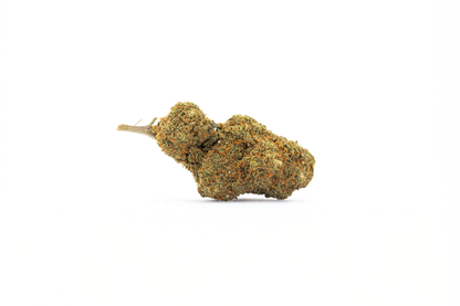 Hessdalen - FLEURS CBD PREMIUM - Maison Sativa