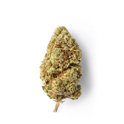 Lazy Connely - FLEUR CBD PREMIUM - Maison Sativa