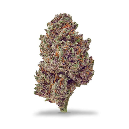 Lemon Ice - FLEURS CBD INDOOR - Maison Sativa