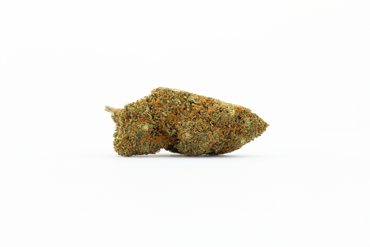 Achat Gummies & Bonbons THC Lgal (Delta-9 Puissant) - Maison Sativa Achat Gummies & Bonbons THC Lgal (Delta-9 Puissant) - Maison Sativa