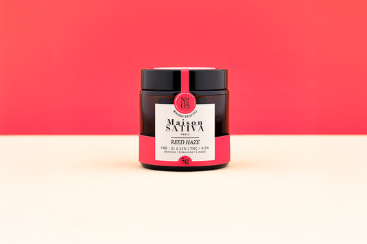 Pot rouge de fleurs de CBD REED HAZE de chez Maison Sativa