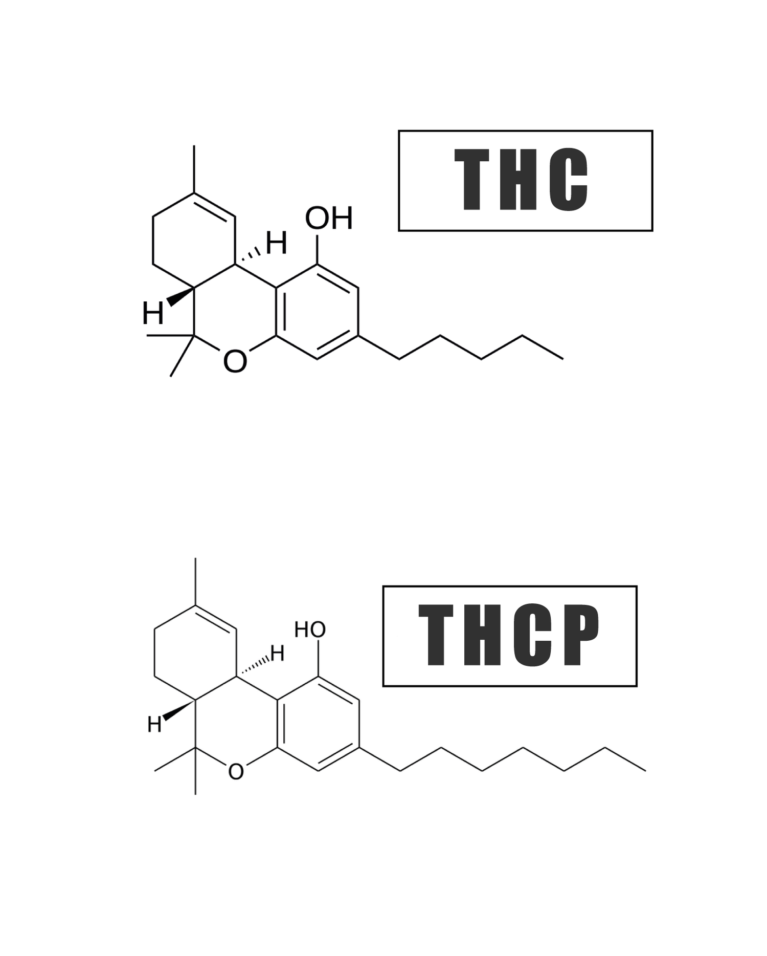 infographie illustrant la différence chimique entre le THC et le THCP