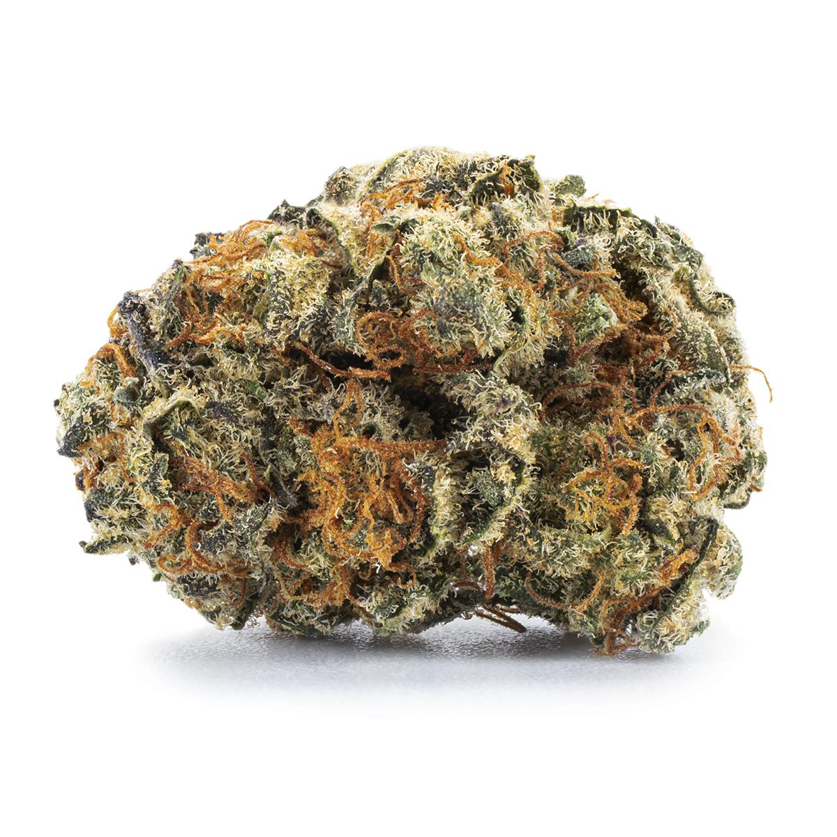 Titan 17 to 21% CBD - PREMIUM CBD FLOWER - Maison Sativa