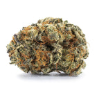 Titan 17 to 21% CBD - PREMIUM CBD FLOWER - Maison Sativa