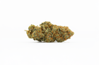 Fleurs de CBD Titan de Maison Sativa sur fond blanc.