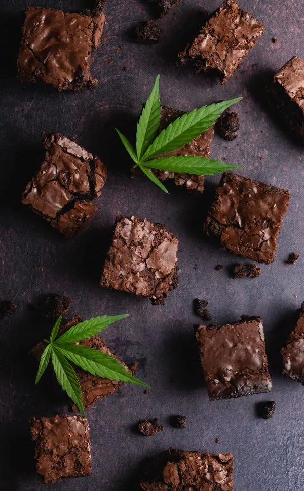 Brownies au THC légal en France