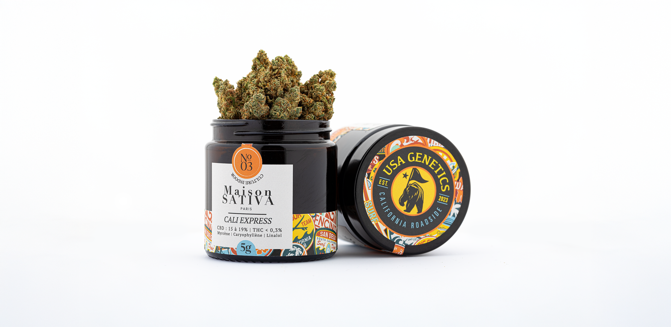 Pot de fleurs de CBD Cali Express. les fleurs dépassent du pot. 