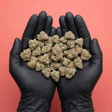 ignée généreuse de fleurs de CBD premium tenues dans des mains gantées de noir sur fond rose, sélection Maison Sativa.