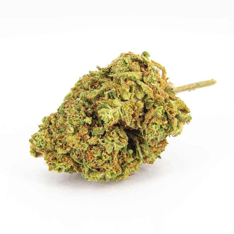 Candy Kush 30% THV N10 - EFFETS PUISSANTS - Maison Sativa