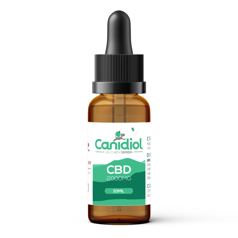 flacon de canidiol 20% pour chien