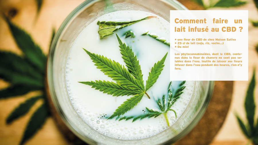 Charger la vidéo : Comment faire un lait infusé au CBD avec une fleur de chanvre de chez Maison Sativa ?