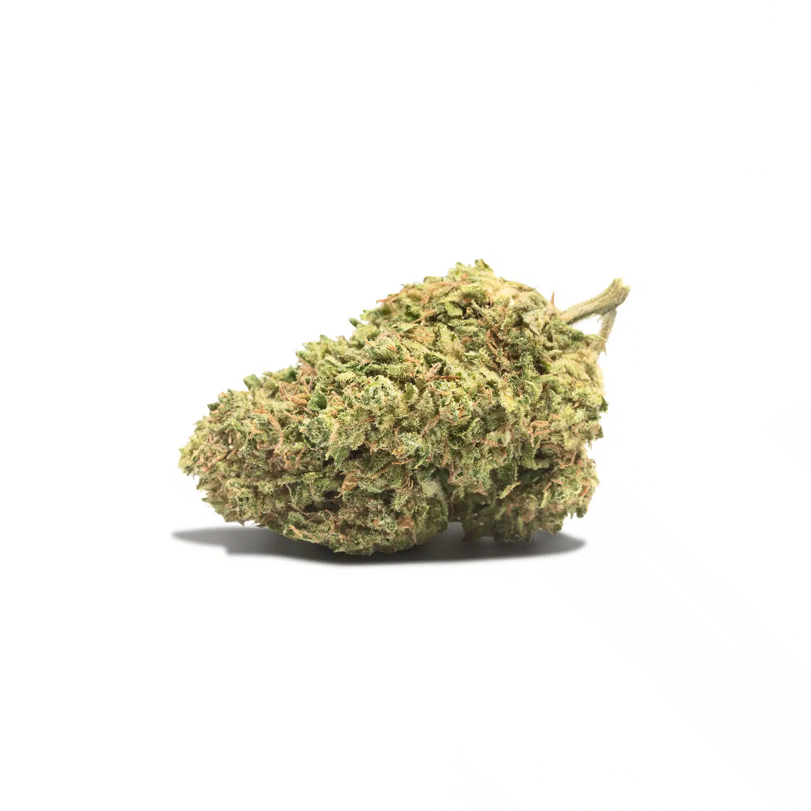 fleur de CBD Electric seed, variété riche en CBN pour accompagner le sevrage du cannabis ou améliorer la qualité du sommeil.