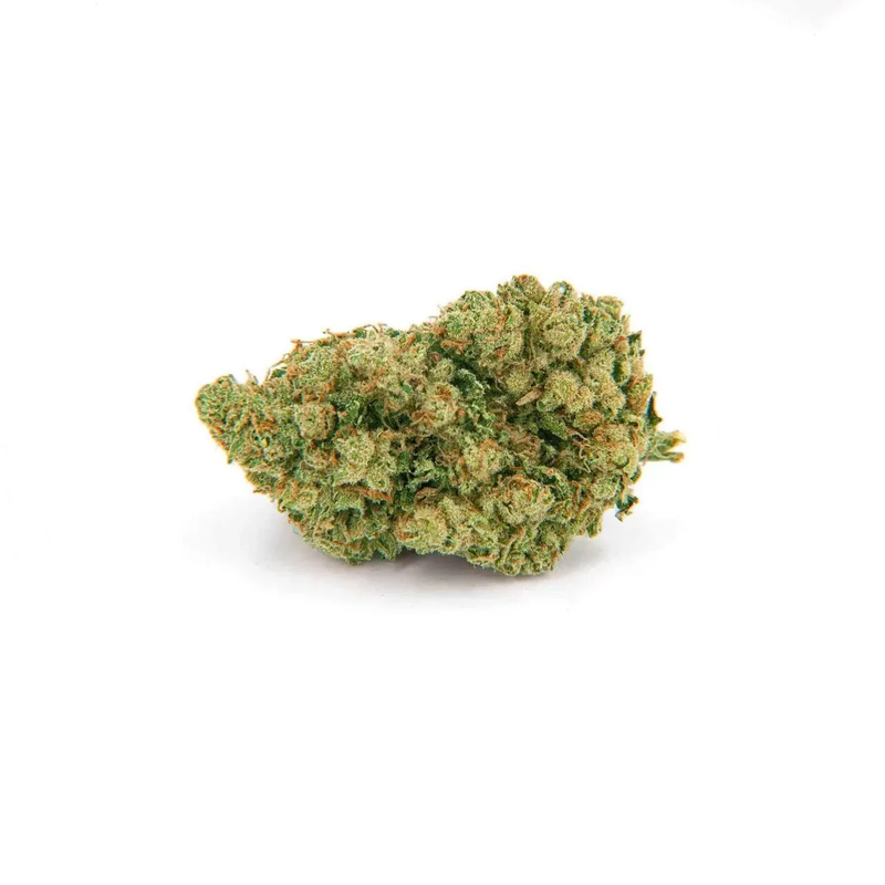 Fleur de CBD Amnesia Haze 30% THV-N10 – Tête dense indoor cultivée par Maison Sativa