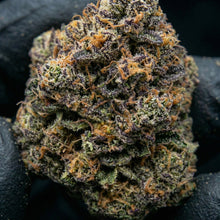 gros plan sur notre fleur de CBD 10 OH HHC permanent Marker