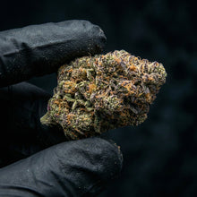 Fleur de CBD 10 OH HHC permanent marker de chez Maison Sativa tenu par deux doigts gantés noirs.