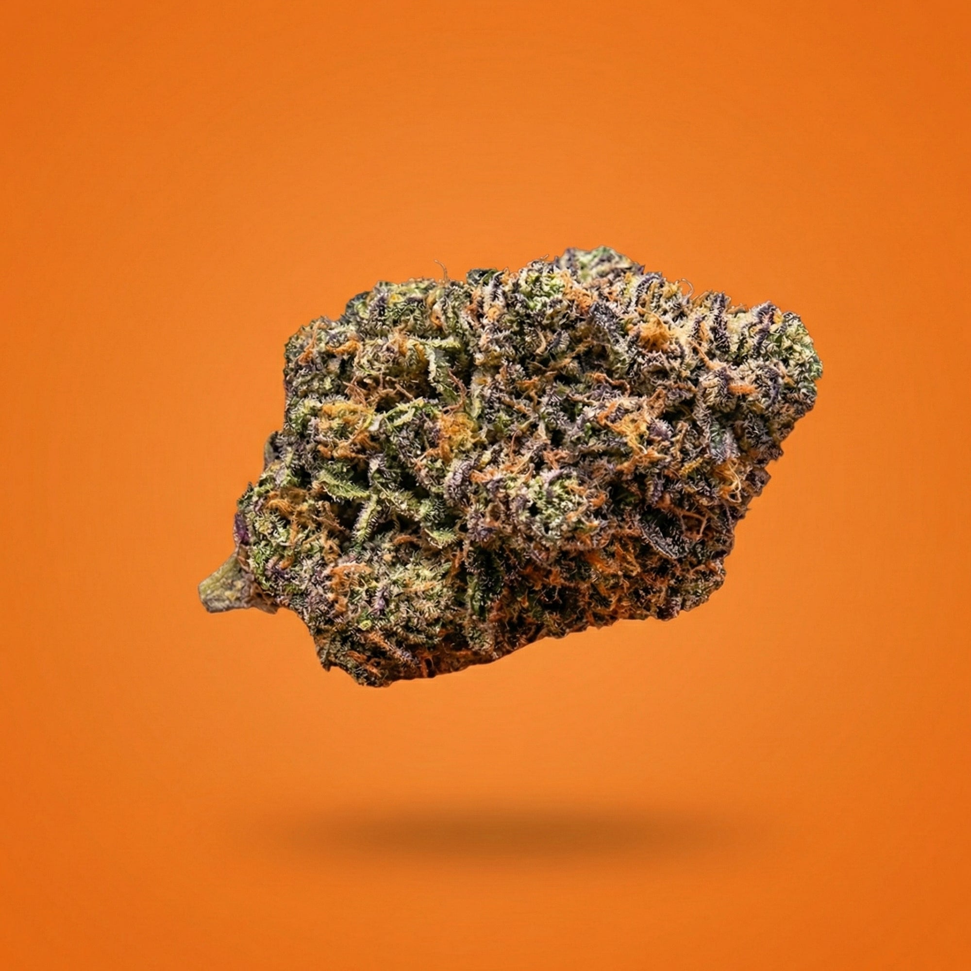 feur de CBD 10 OH HHC permanent marker de chez Maison Sativa en lévitation sur un fond orange. 