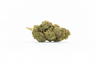 fleurs de CBD ACE sur fond blanc de chez maison sativa