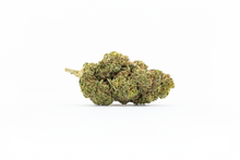 fleurs de CBD ACE sur fond blanc de chez maison sativa