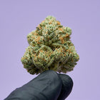 fleur de cbd pas cher super skunk de chez maison sativa