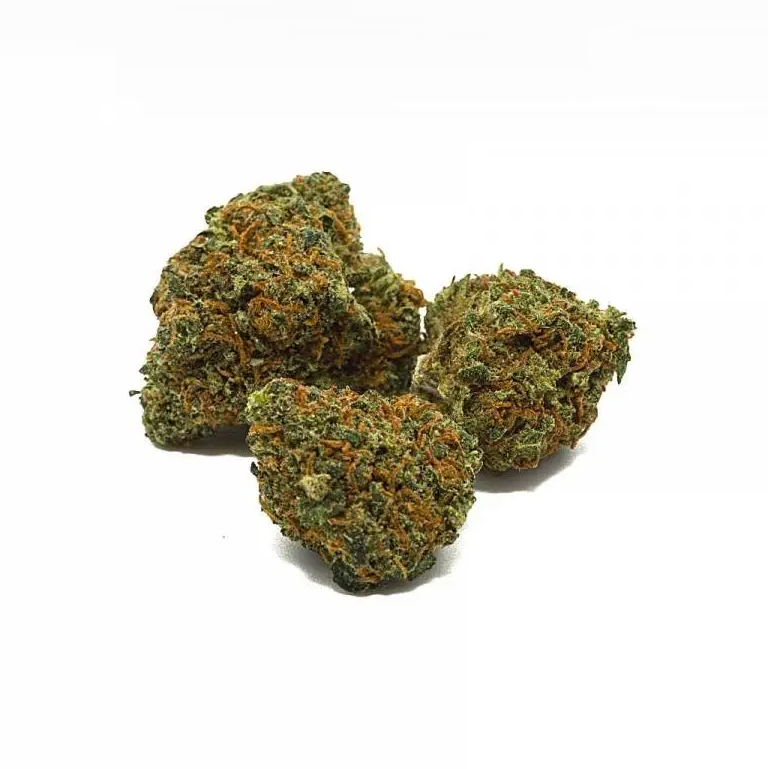 fleur de CBD Gelato enrichie en THV N10 à 40% pour des effets puissants.