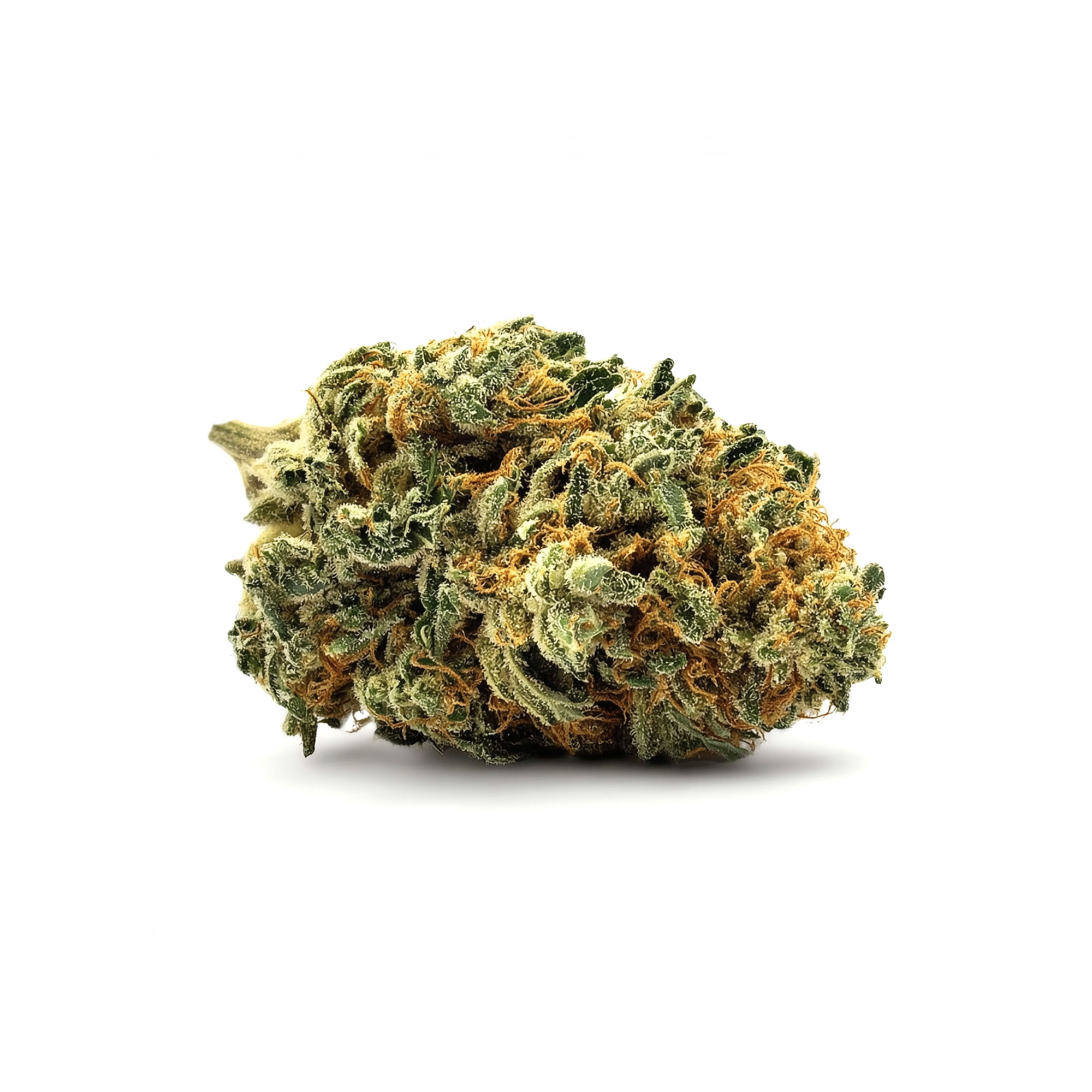 Fleur de CBD puissante L.A Confidential – Maison Sativa, Cherbourg – Gros plan sur la tête de fleur.