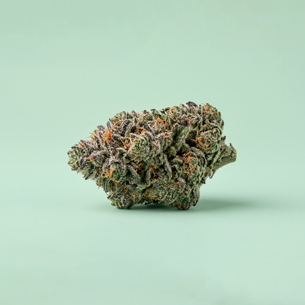 Fleur de CBD Northern Light - 50% HRC - Moon Rock CBN & CBC | Maison Sativa