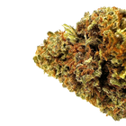 Skywalker 40% 10-OH-HHC | Fleur Puissante & Légale | Maison Sativa