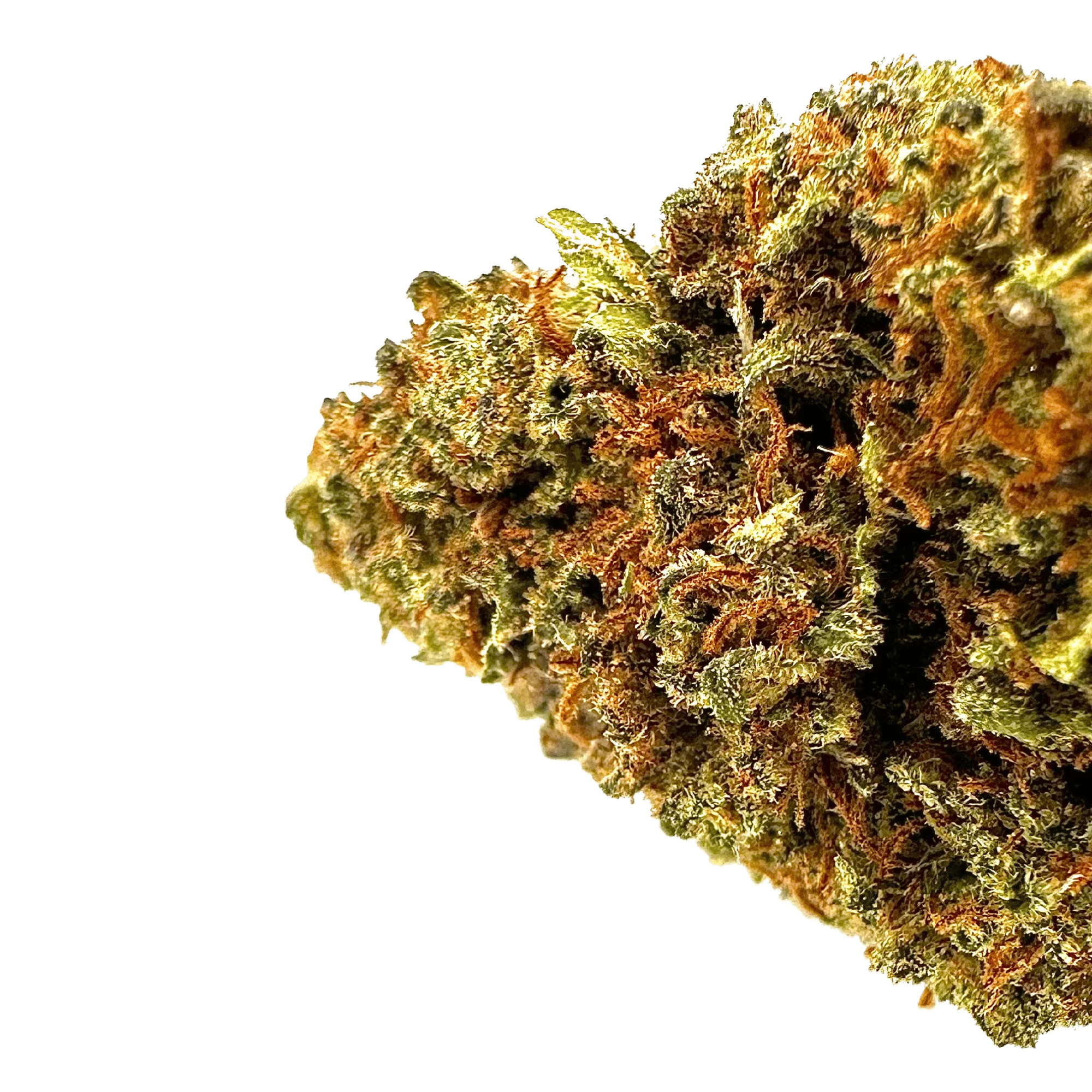 Skywalker 40% 10-OH-HHC | Fleur Puissante & Légale | Maison Sativa