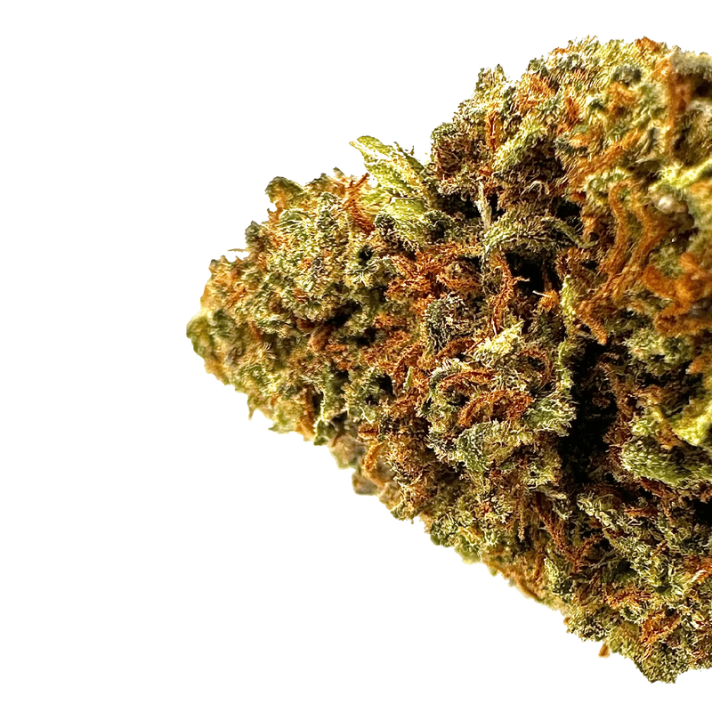 Skywalker 40% 10-OH-HHC | Fleur Puissante & Légale | Maison Sativa