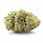 fleur de CBD puissante Dream Juice de chez Maison Sativa