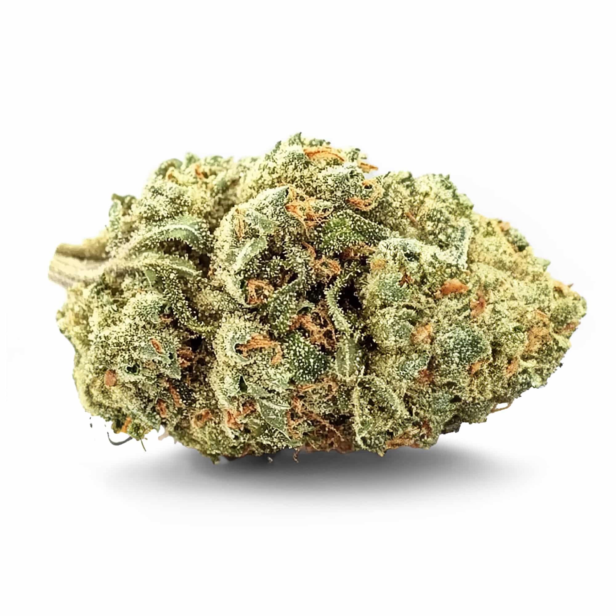 fleur de CBD puissante Dream Juice de chez Maison Sativa