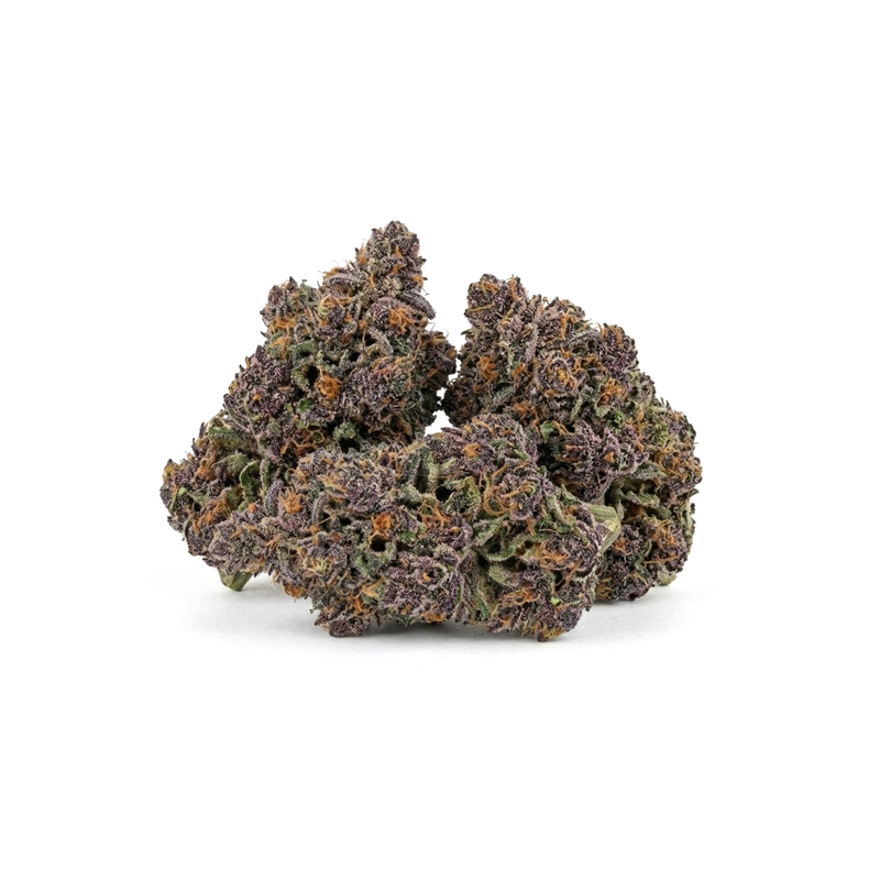 fleurs CBD indoor purple beluga sur fond blanc