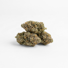 3 Fleurs de CBD indoor Camino sur fond blanc