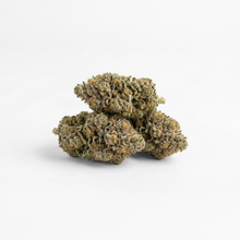 3 Fleurs de CBD indoor Camino sur fond blanc