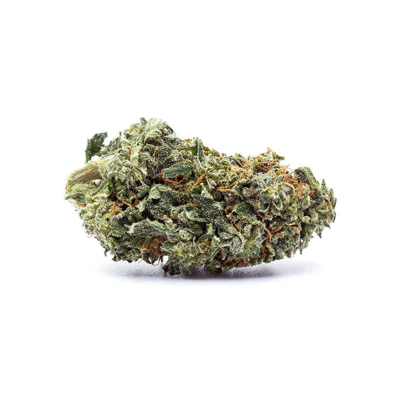 Vue d'ensemble d'une fleur de CBD naturelle et manucurée, isolée sur fond blanc