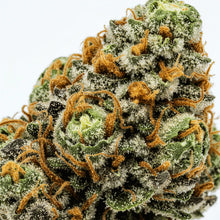 gros plan sur la fleur de CBD dream juice riche en trichomes