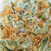 trichomes nombreux et pistils orange de la fleur de CBD Dream Juice