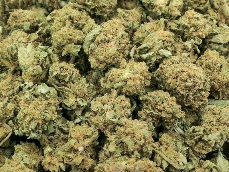 Fleur de CBD Super Lemon – 20 à 24 % de CBD – Explosion Citronnée à 1 €/g
