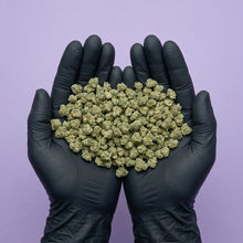 Mains gantées de noir présentant une généreuse quantité de petites fleurs (small buds) de CBD Super Skunk, idéales pour l'achat en vrac.