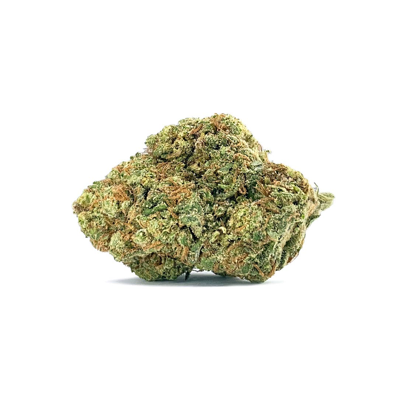 Gelato Haze 40 % THV-N10 – Fleur CBD puissante, effet immersif & légal