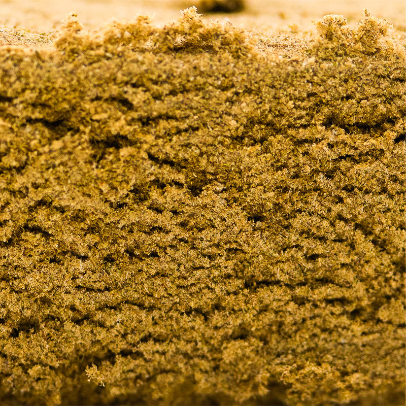 Gold Hash CBD 50% 10-OH-HHC | Résine intense et légale | Maison Sativa