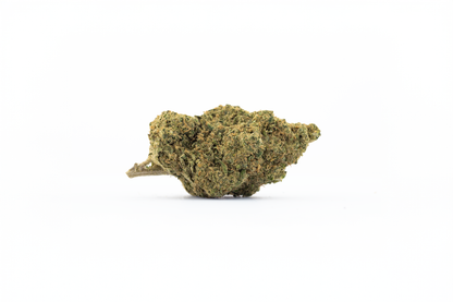 fleur de CBD gorilla BLUE sur fond blanc