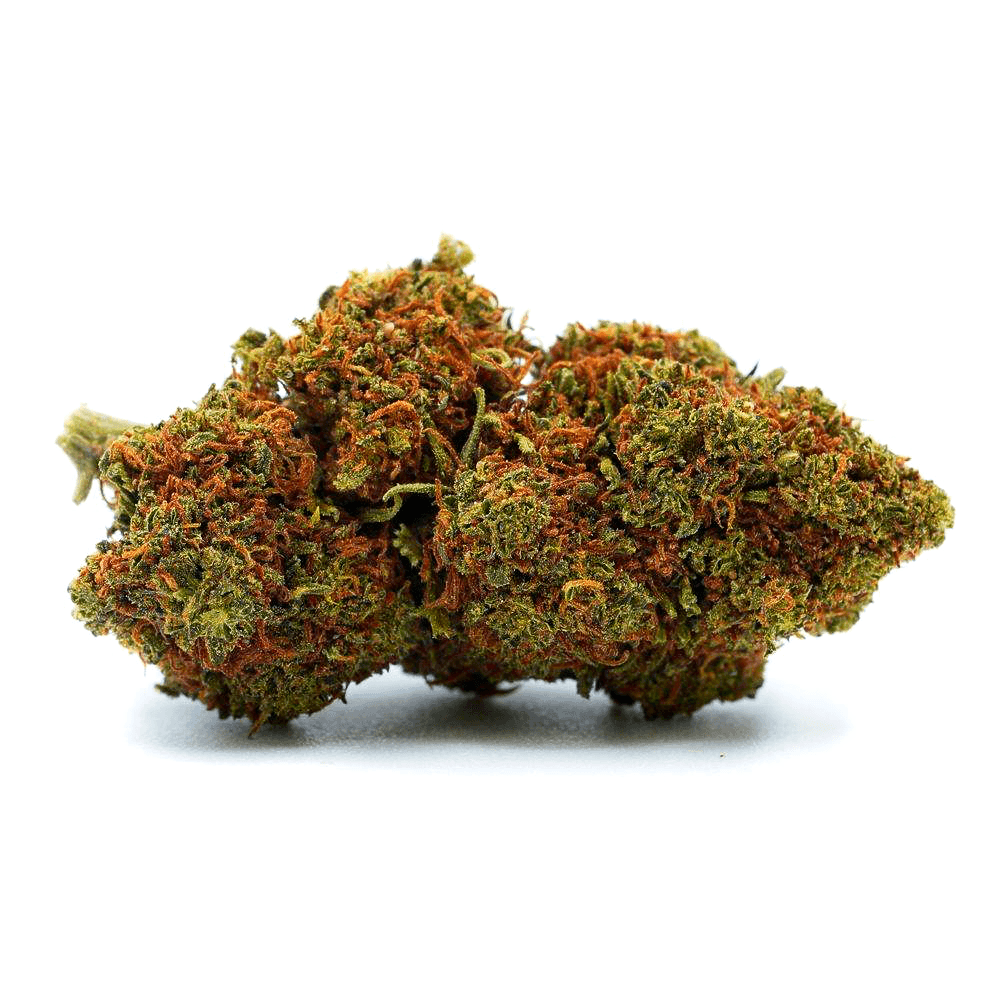 Hessdalen - PREMIUM CBD FLOWERS - Maison Sativa