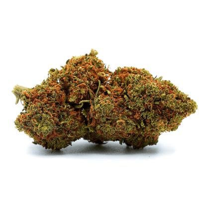 Hessdalen - FLEURS CBD PREMIUM - Maison Sativa