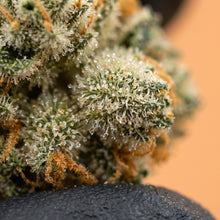Gros plan macro détaillant les trichomes cristallins gorgés de résine et les pistils orangés de la puissante fleur de CBD Pineapple (23,9%) cultivée par Maison Sativa.