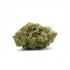 fleur de cbd puissante man o war sur fond blanc.