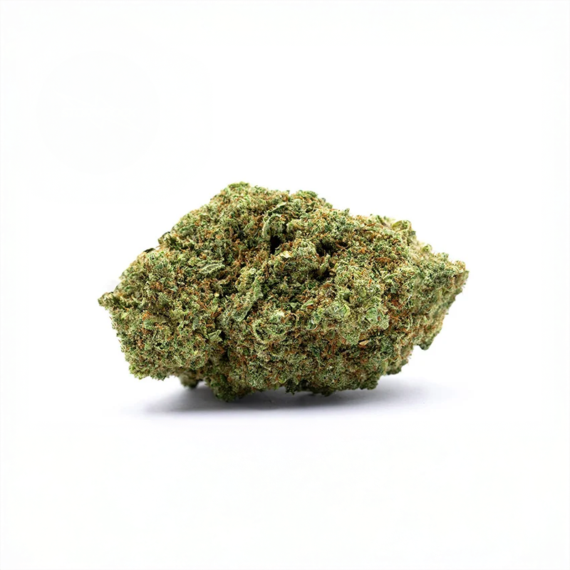 fleur de cbd puissante man o war sur fond blanc.