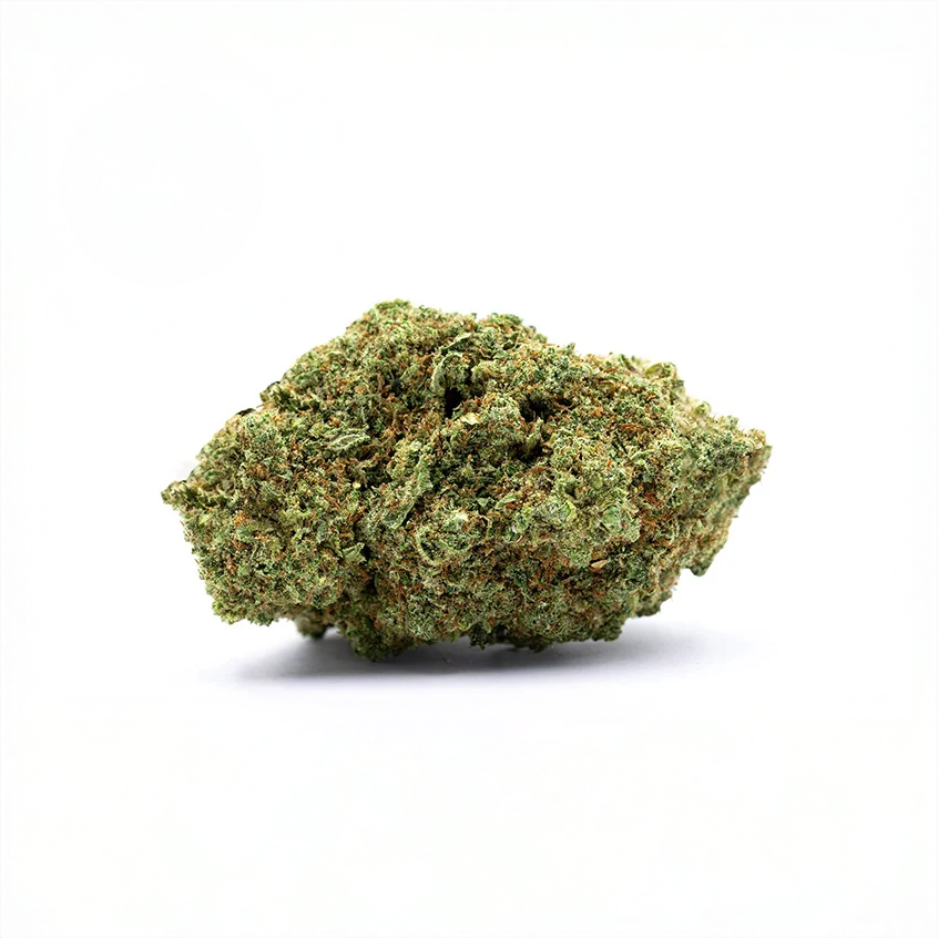 fleur de cbd puissante man o war sur fond blanc.