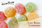 Gummies Live Resin Mellow Fellow 150mg - Bonbons vegan multicolores aux fruits