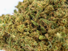 OG Kush THV N10 40% - Fleur CBD Premium | Puissante et savoureuse